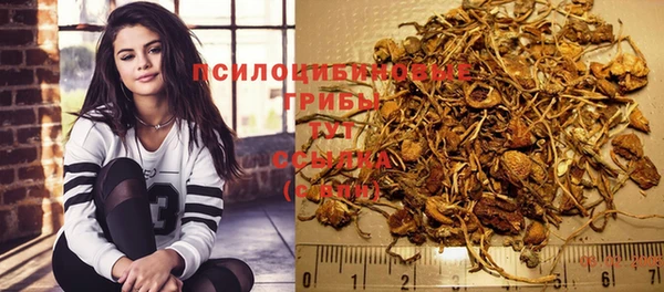 spice Дмитров