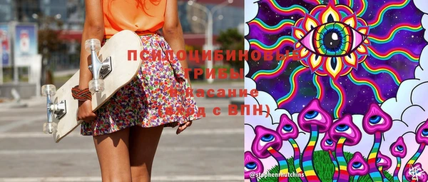 дживик Весьегонск