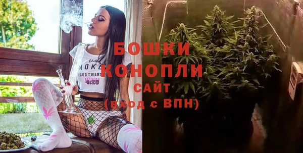 индика Наволоки