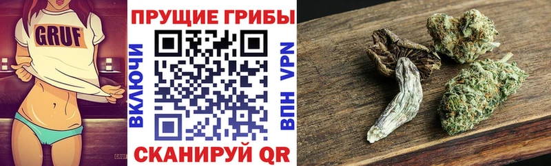 купить наркотик  Ипатово  Галлюциногенные грибы прущие грибы 