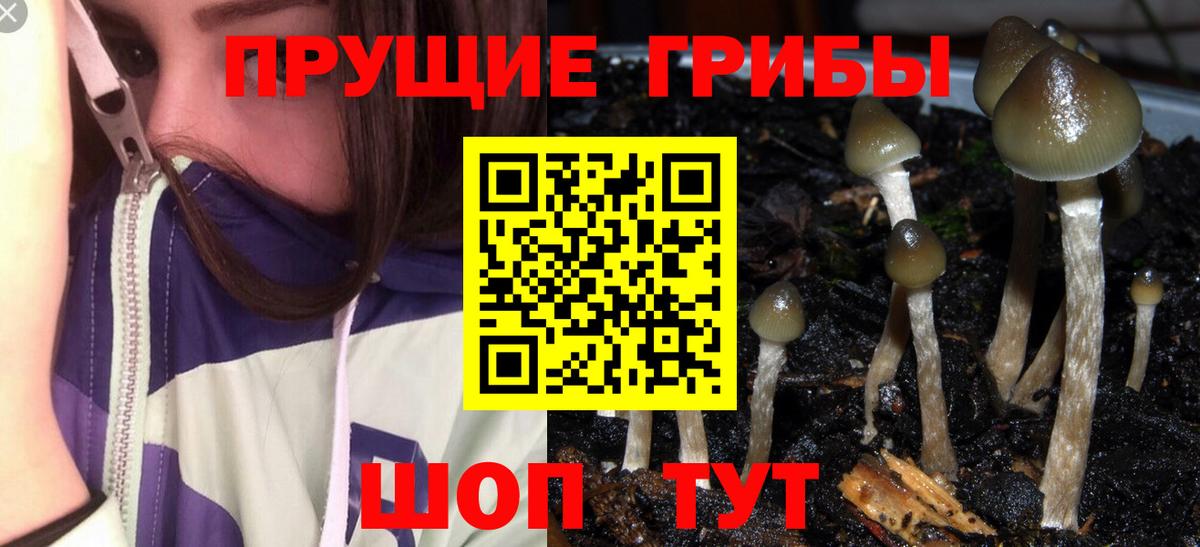 Ипатово  Галлюциногенные грибы мицелий  Галлюциногенные грибы Magic Shrooms  Вход с VPN 
